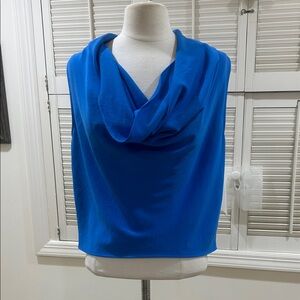 Zara Vibrant Blue Cowl Neck Top